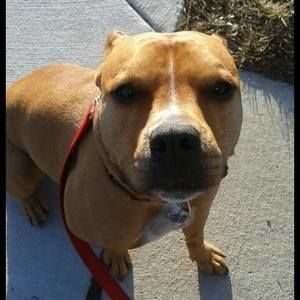 Meet your Posher, Tammy